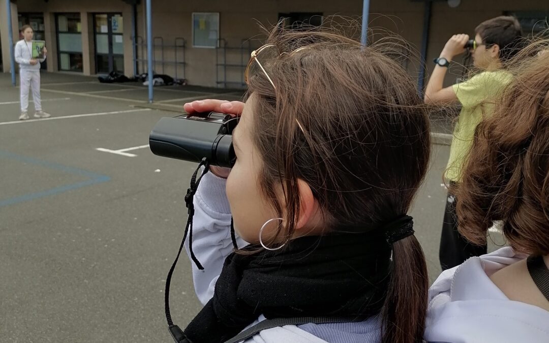 Action en faveur de la biodiversité au collège, en partenariat avec la LPO et le département